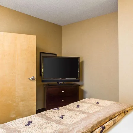 Cambria Hotel Raleigh-Durham Airport-3